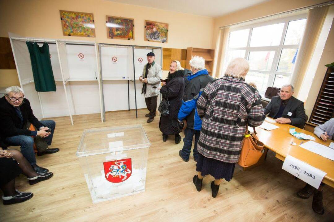 2020-ųjų Seimo rinkimuose bus galimybė balsuoti internetu?