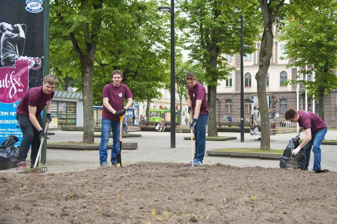 Studentai sodina gėles