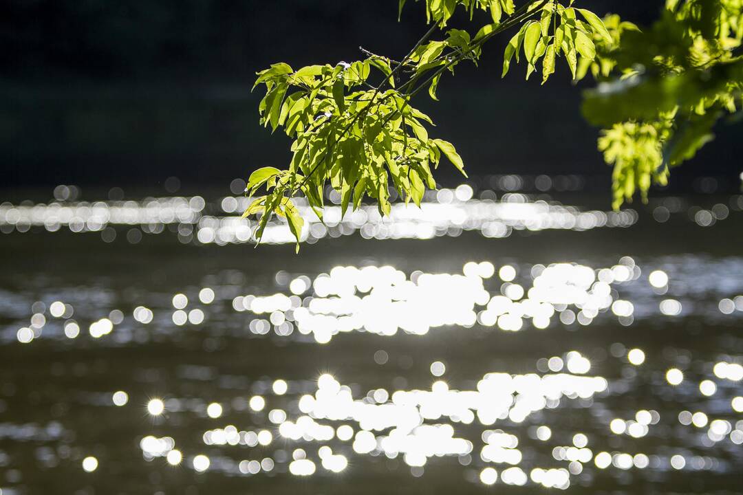 Paaiškėjo Kaune rasto skenduolio tapatybė