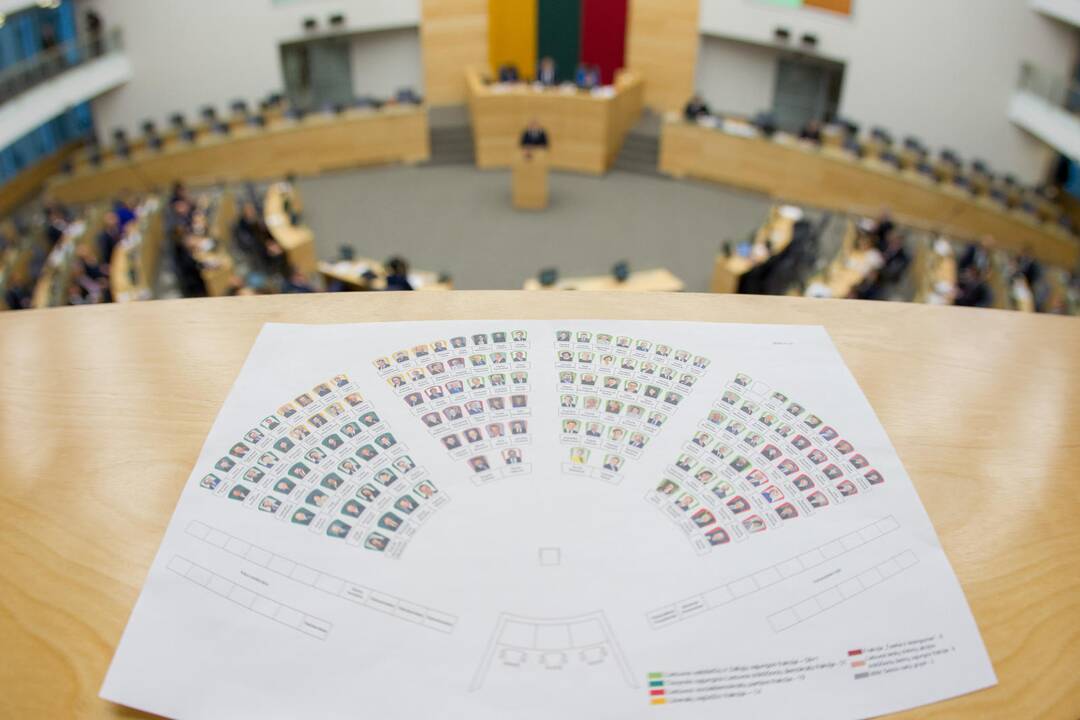Kandidato į Seimą portretas: išsilavinęs, pasiturintis penkiasdešimtmetis