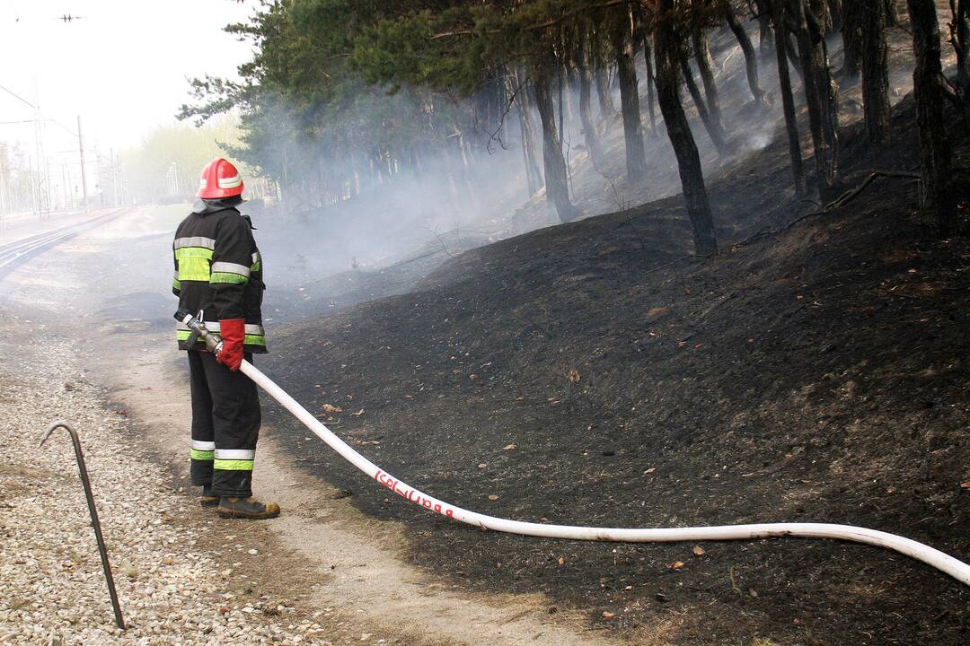 Į miškus nebus galima įkelti kojos?