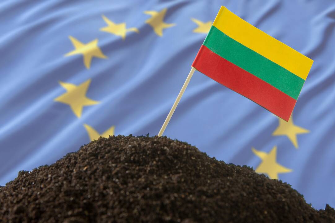 Referendumas dėl žemės pardavimo įvyks birželio 29 dieną