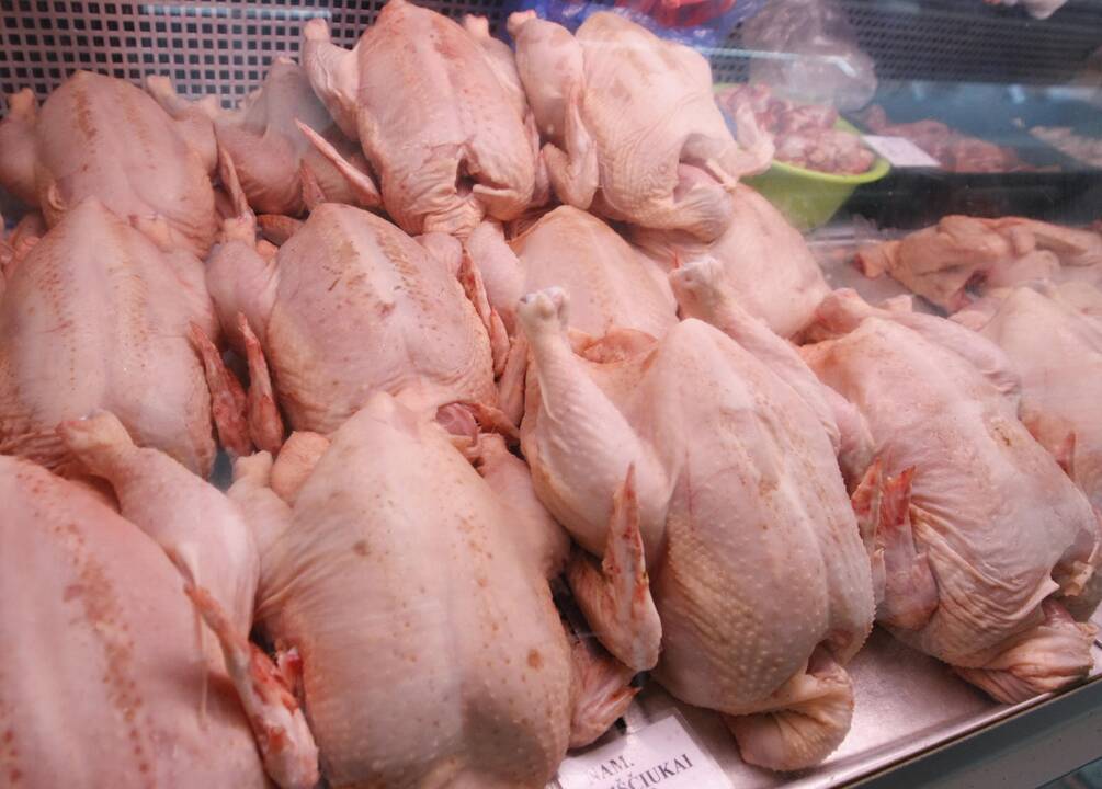 Kauno bendrovę įklampino įtartina paukštiena
