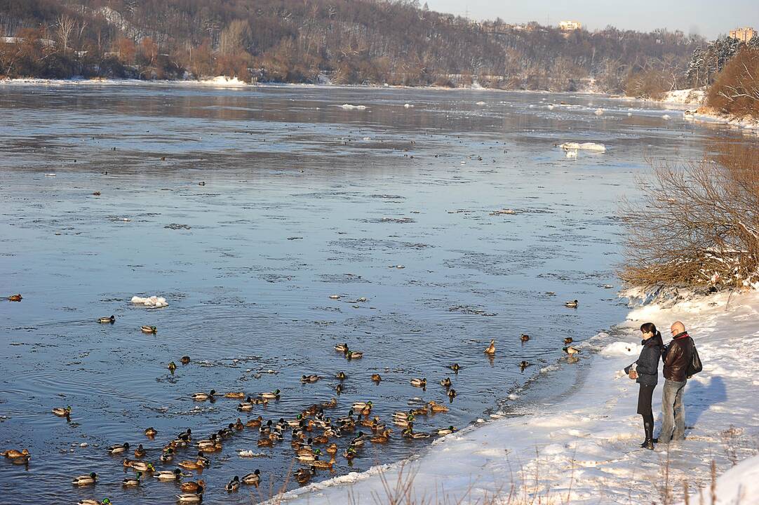 Orų prognozė: nors pasirodys debesų, sniego nebus ir šals