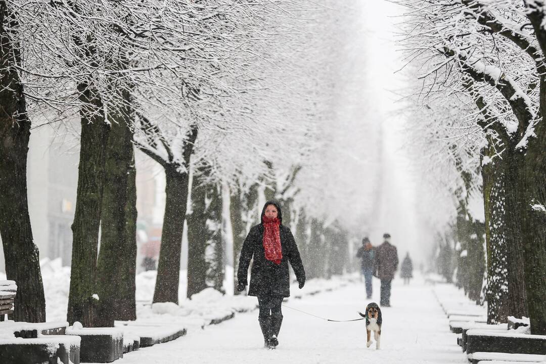 Žiema į Vilnių įsiverš su stipriu vėju ir sniegu