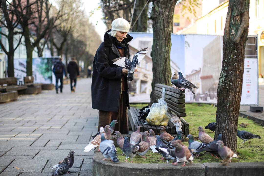 Kas mieste labiausiai erzina kauniečius?