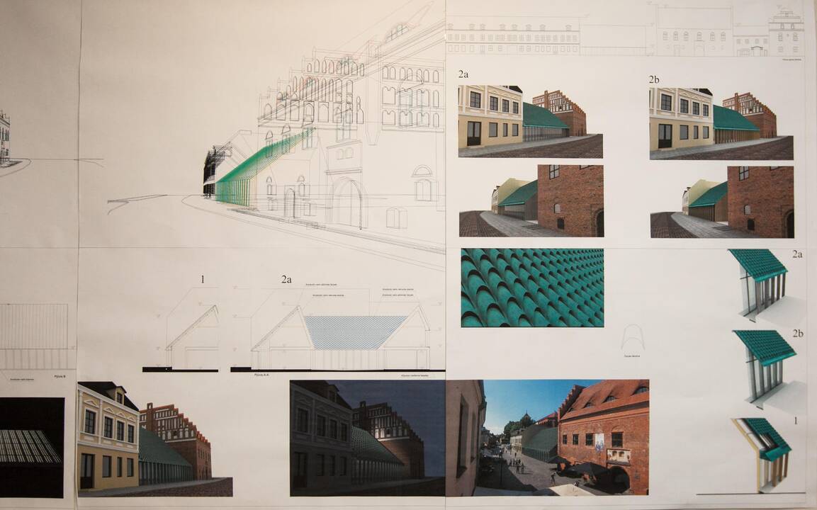Projekto autorius Š.Kiaunė 