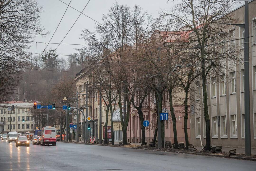 Vytauto prospekte laukia dar viena staigmena – nebeliks senų medžių