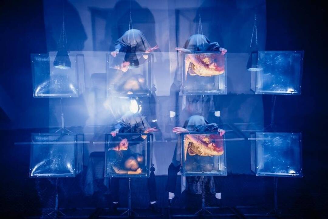 Scena iš spektaklio "Žinduolių perėja"