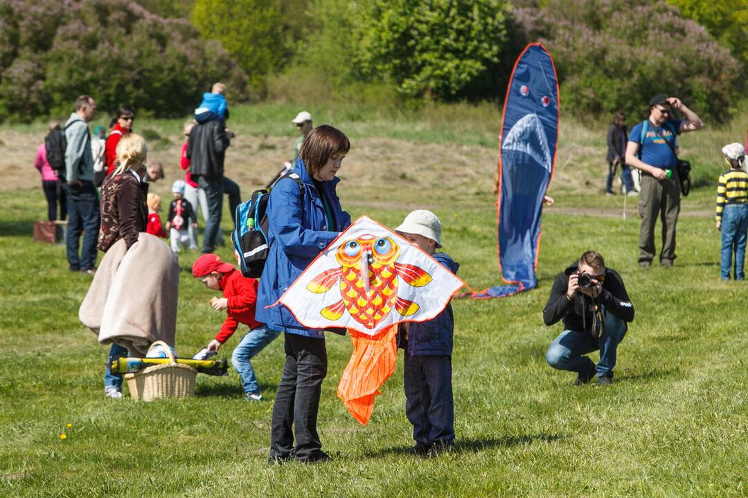 Aitvarų šventė Zapyškyje 2015