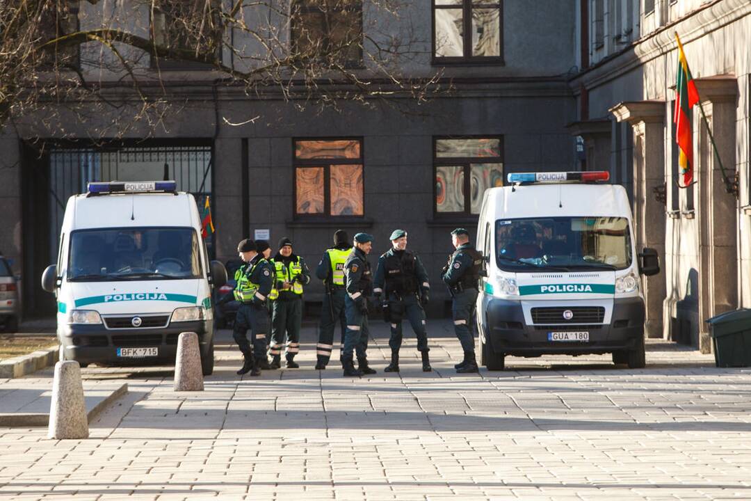 Tautinio jaunimo eisena