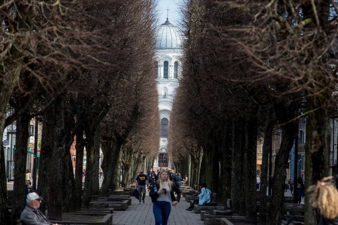 Kauniečiai džiaugiasi pavasario saule