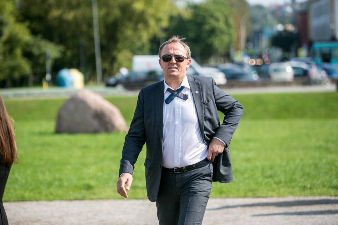 V. Ušackas kandidatuos į prezidento postą