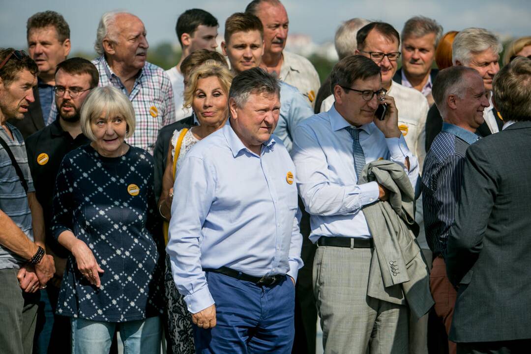 V. Ušackas kandidatuos į prezidento postą