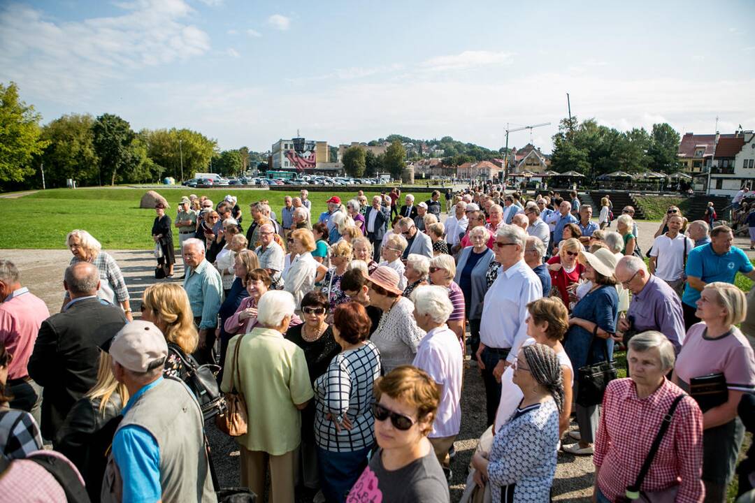V. Ušackas kandidatuos į prezidento postą