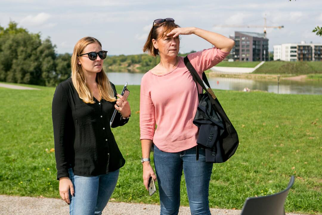 V. Ušackas kandidatuos į prezidento postą