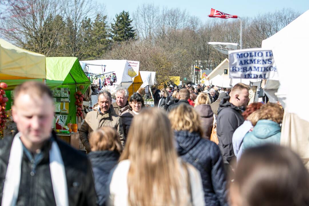 Paroda " Ką pasėsi ... 2019"