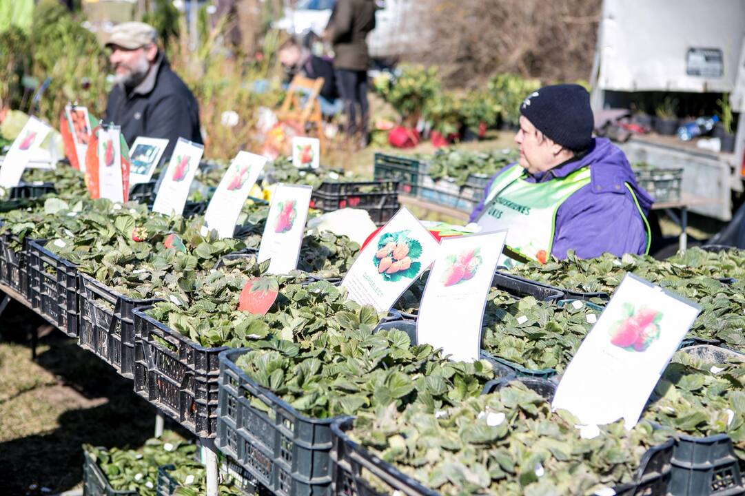 Paroda " Ką pasėsi ... 2019"