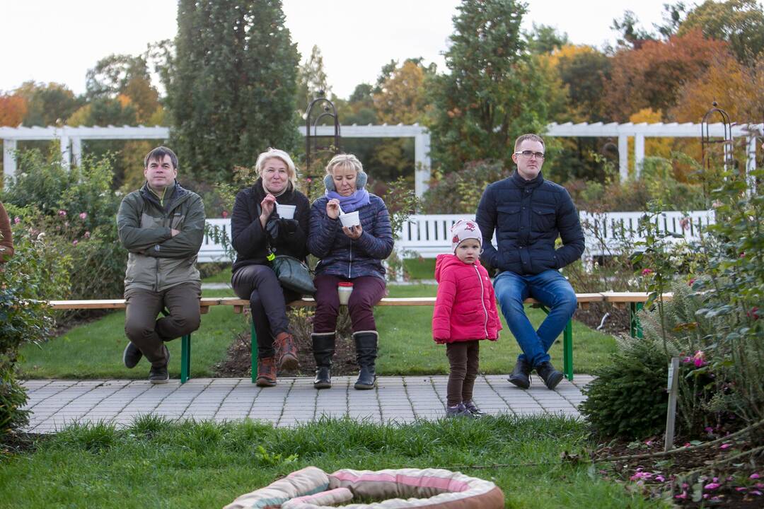 Derliaus šventė VDU botanikos sode