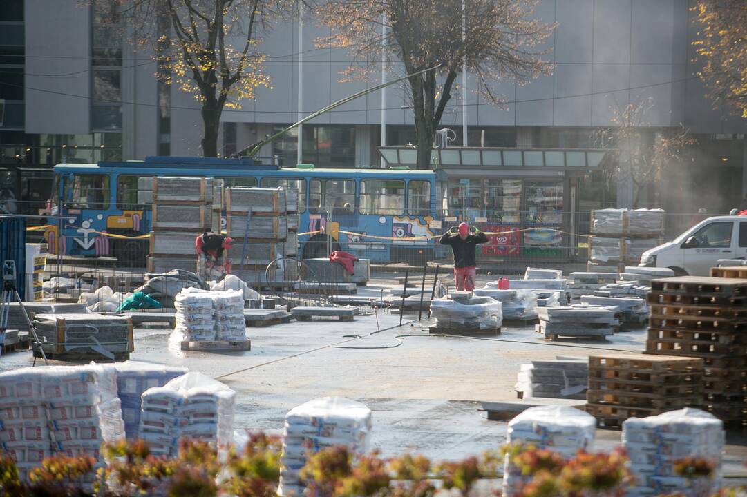 Vienybės aikštėje sodinami medžiai