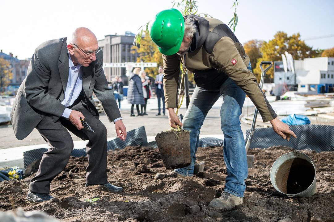 Vienybės aikštėje sodinami medžiai