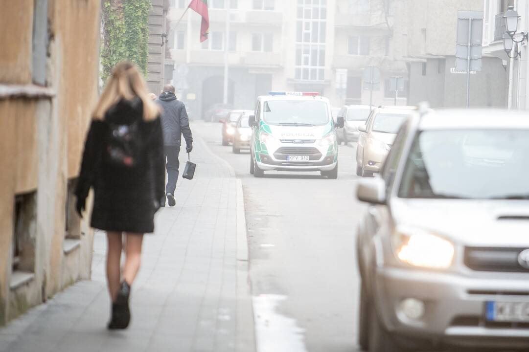 N. Venckienei Kauno teisme paskirtas dviejų mėnesių suėmimas