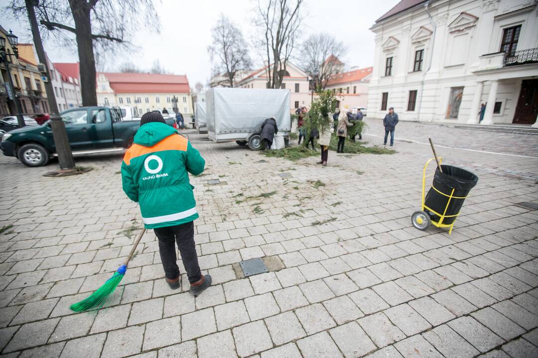 Eglių šakų dalijimo akcija Kaune
