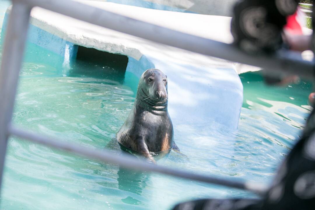 Lietuvos zoologijos sodas prieš rekonstrukciją