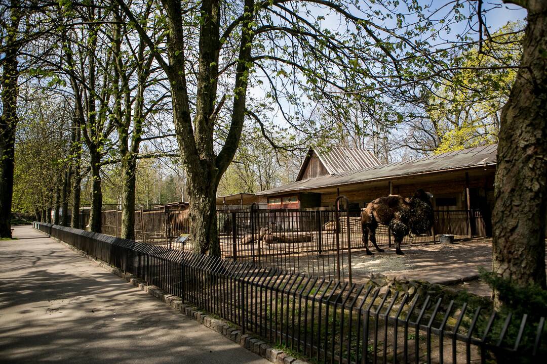 Lietuvos zoologijos sodas prieš rekonstrukciją