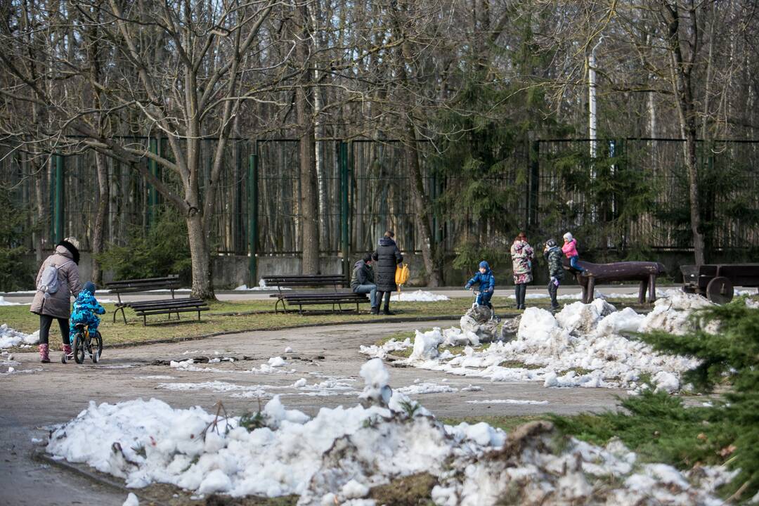 Zoologijos sodas - vėl atviras