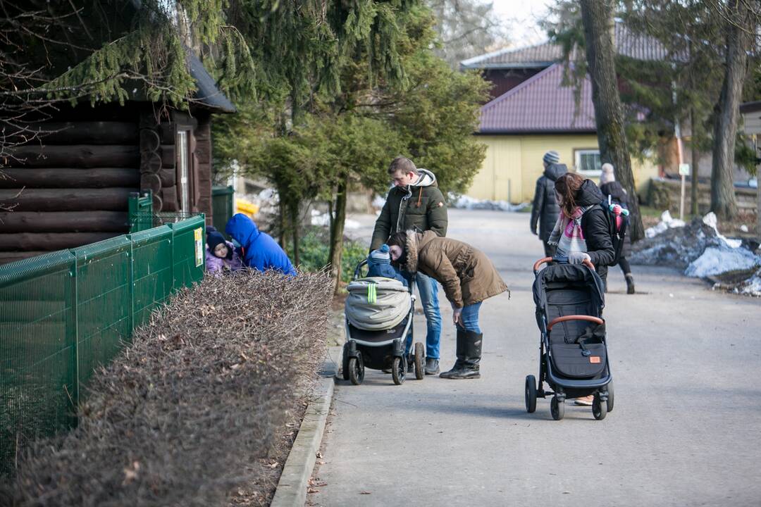 Zoologijos sodas - vėl atviras