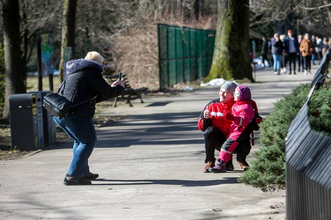 Zoologijos sodas - vėl atviras