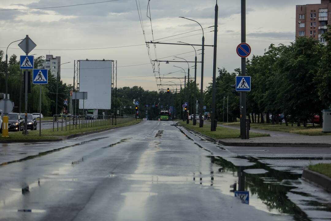 Joninių dieną – liūtis Kaune