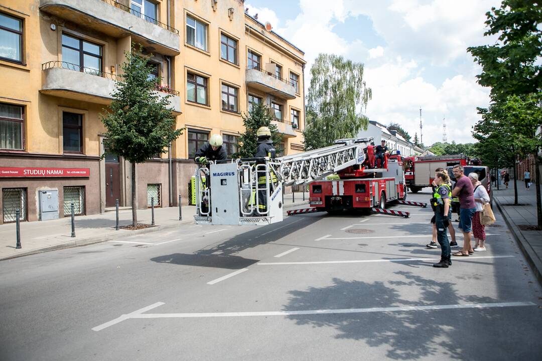 Šuns gelbėjimo operacija Miško gatvėje