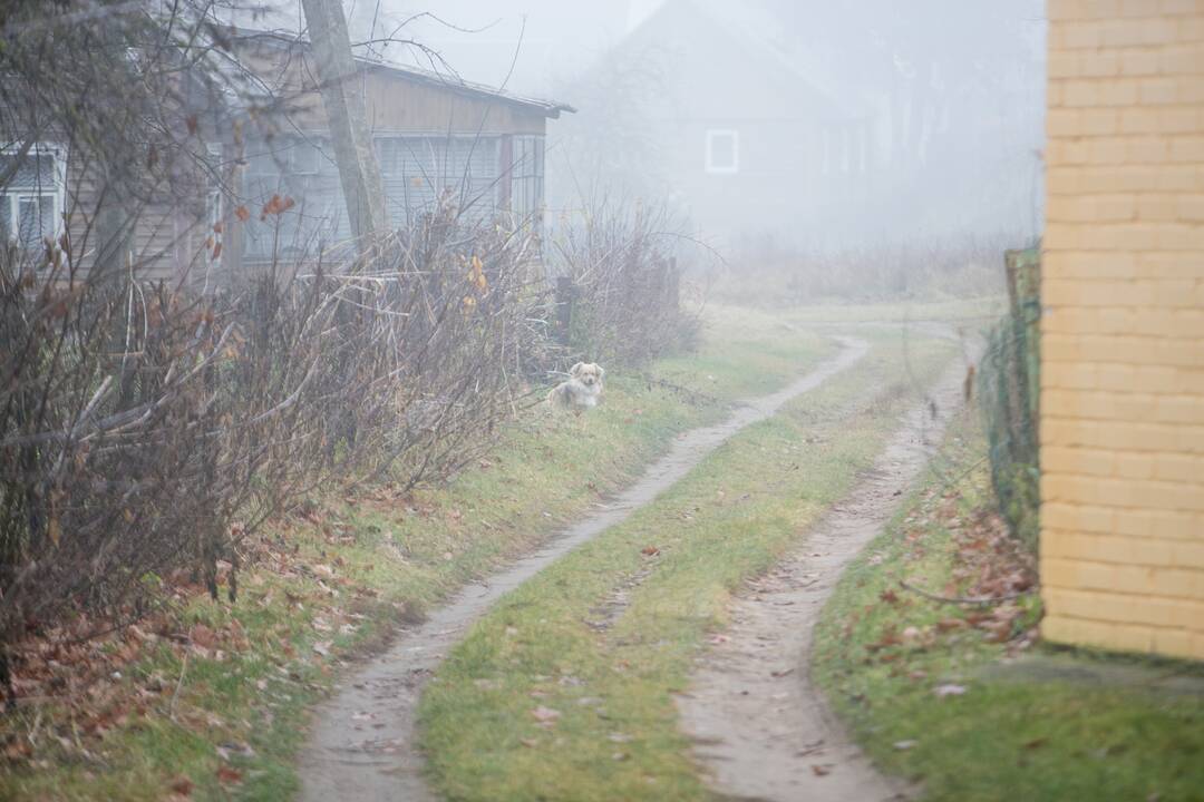 „Kauno dienos“ žurnalistų apsilankymas pasienio ruožo gyvenvietėse