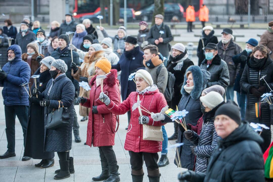 Aukurai laisvės gynėjams