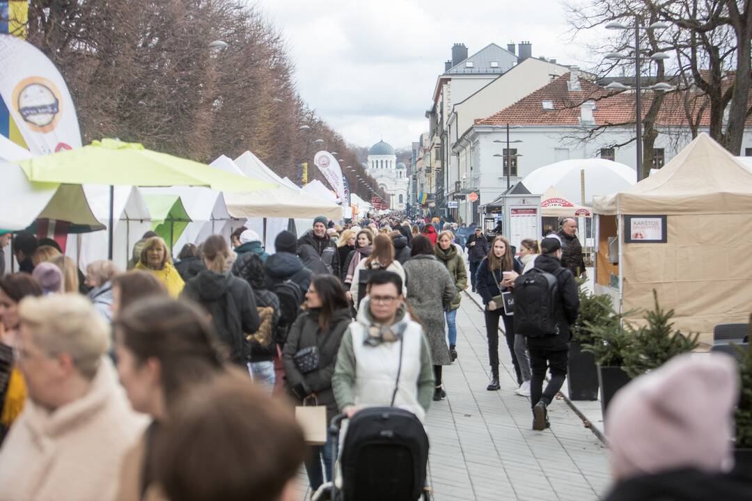 Vilioja mugė Laisvės alėjoje