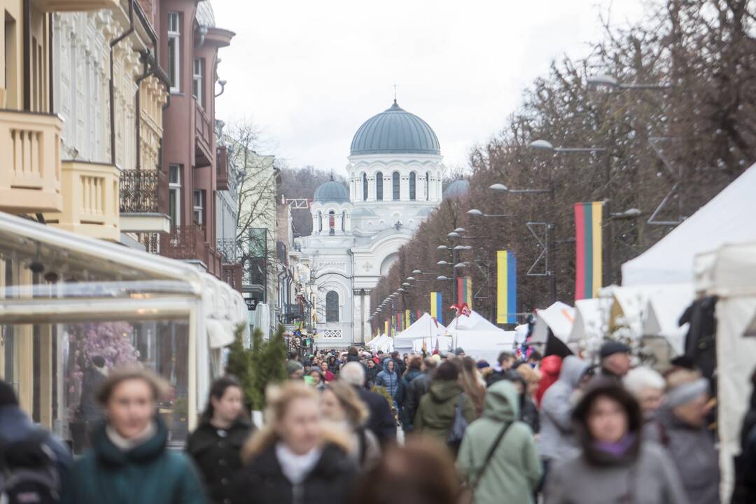 Vilioja mugė Laisvės alėjoje