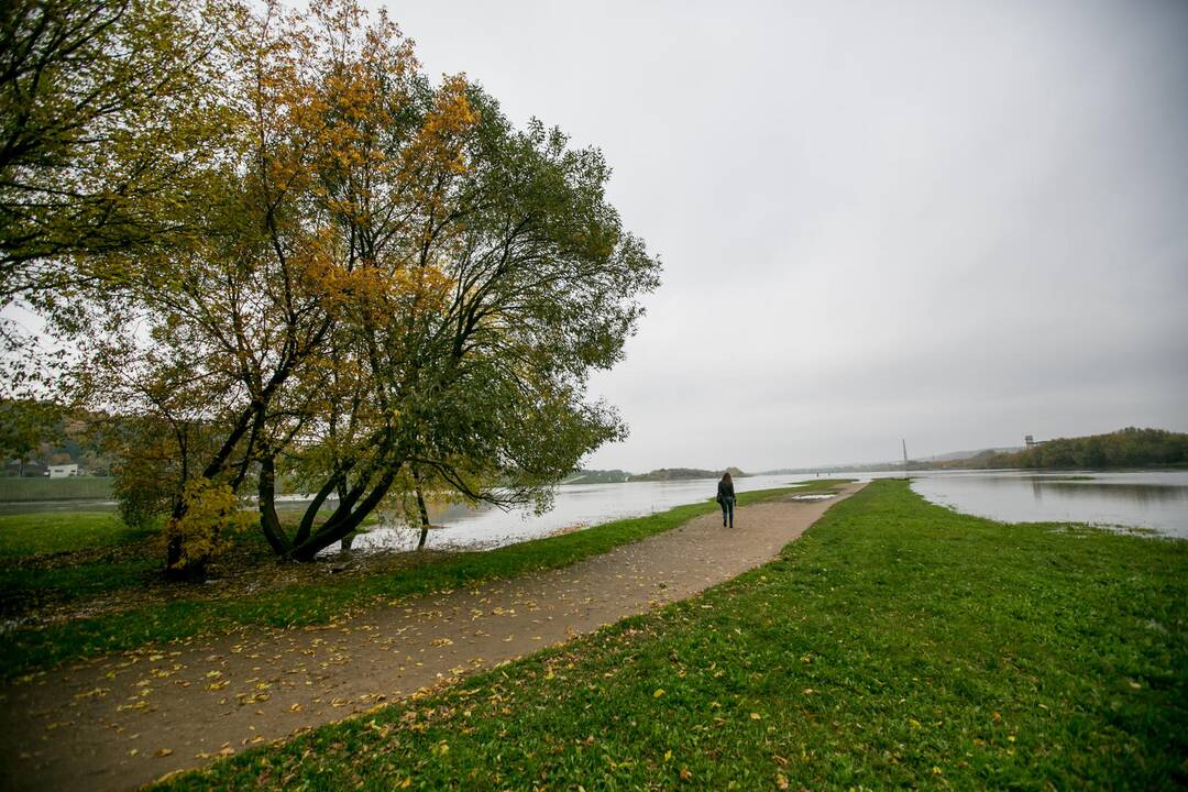 Patvinęs Nemunas