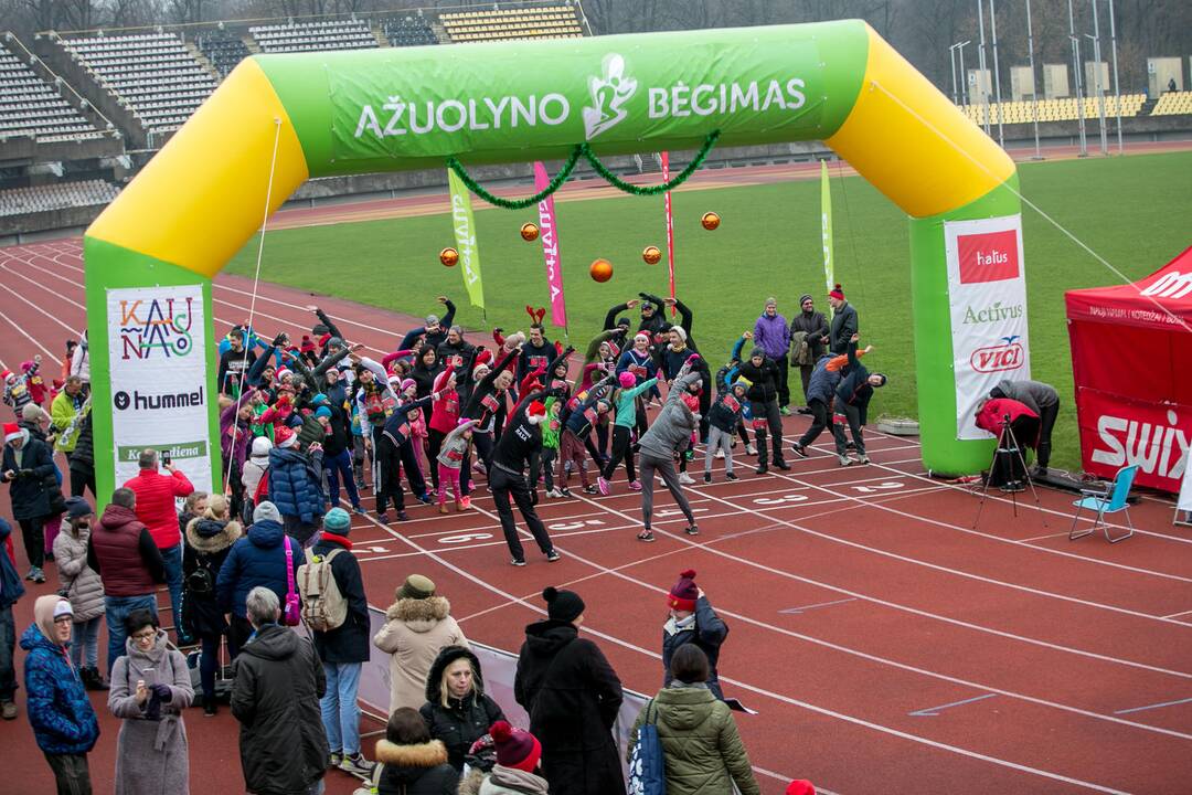 Naujametinis​ ​Ąžuolyno​​ bėgimas​ ​ 2017