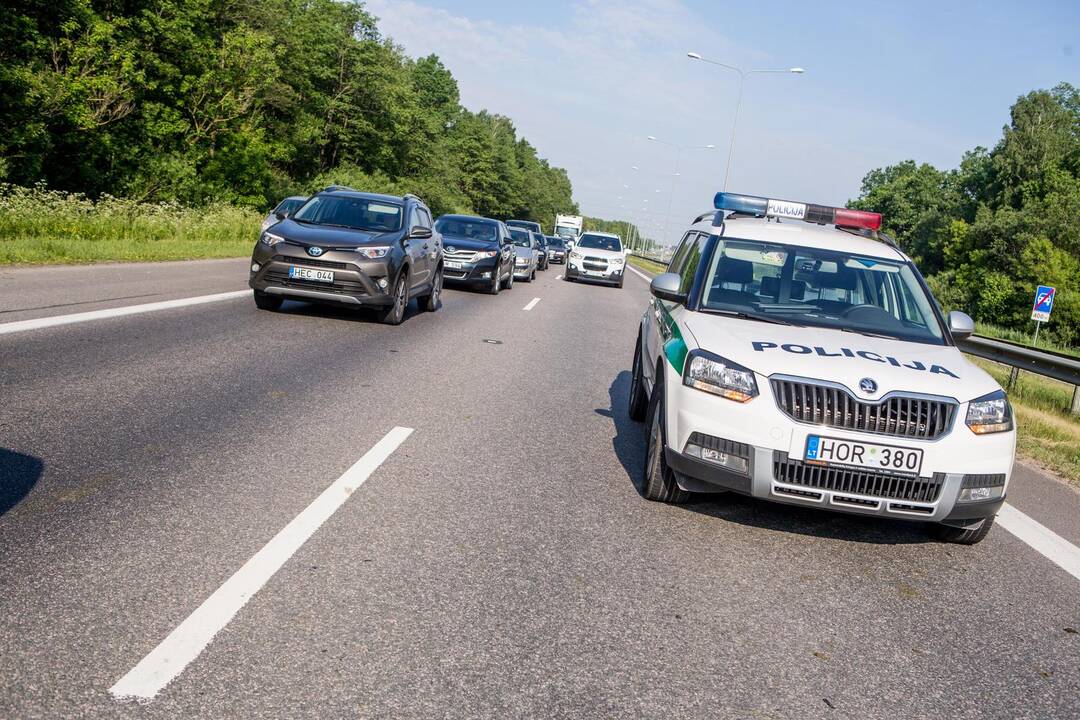 Autostradoje Kaunas-Vilnius partrenktas briedis