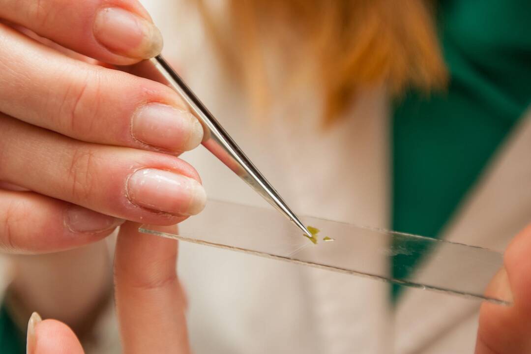 Kauno tvirtovės VII forto laboratorija