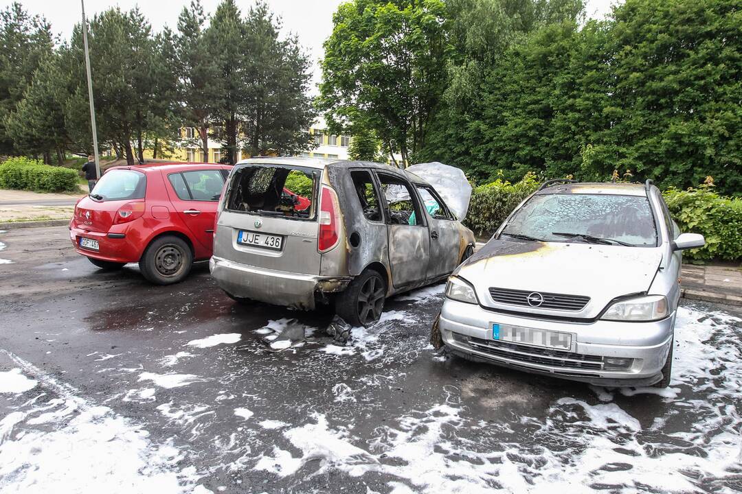 Šarkuvos g. sudegė du automobiliai