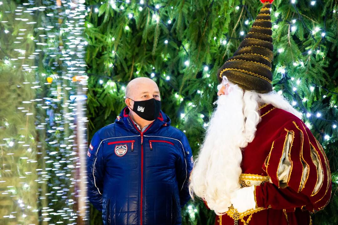 Šventinės Kauno Kalėdų eglės įžiebimo akimirkos