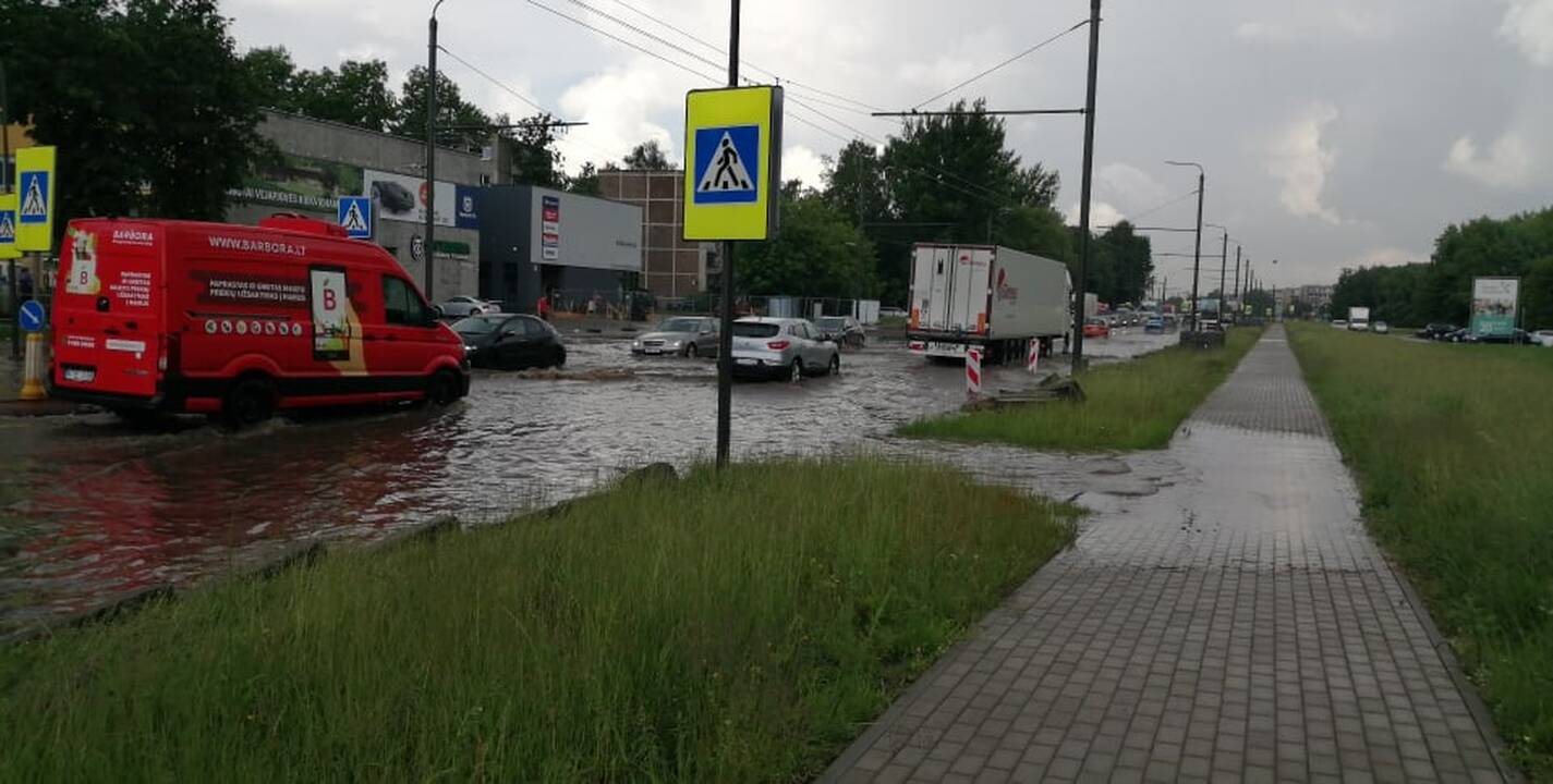 Liūtis ir kruša Kaune