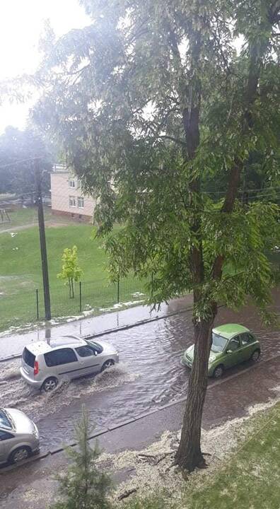 Liūtis ir kruša Kaune