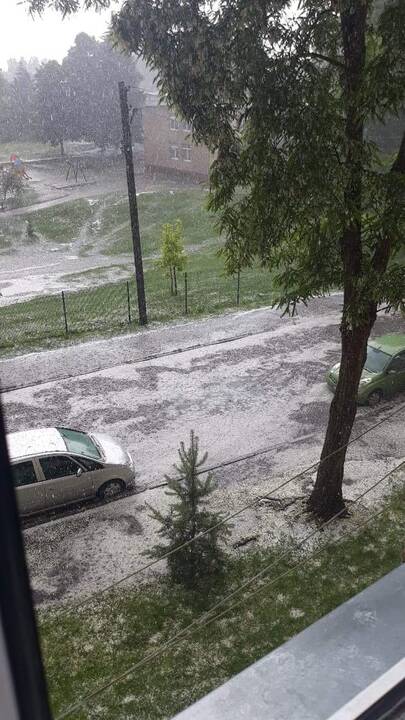 Liūtis ir kruša Kaune