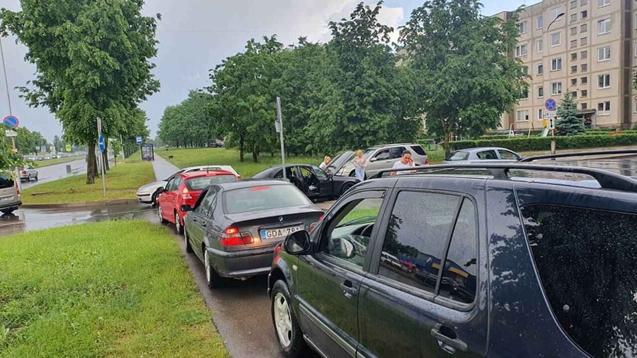 Liūtis ir kruša Kaune