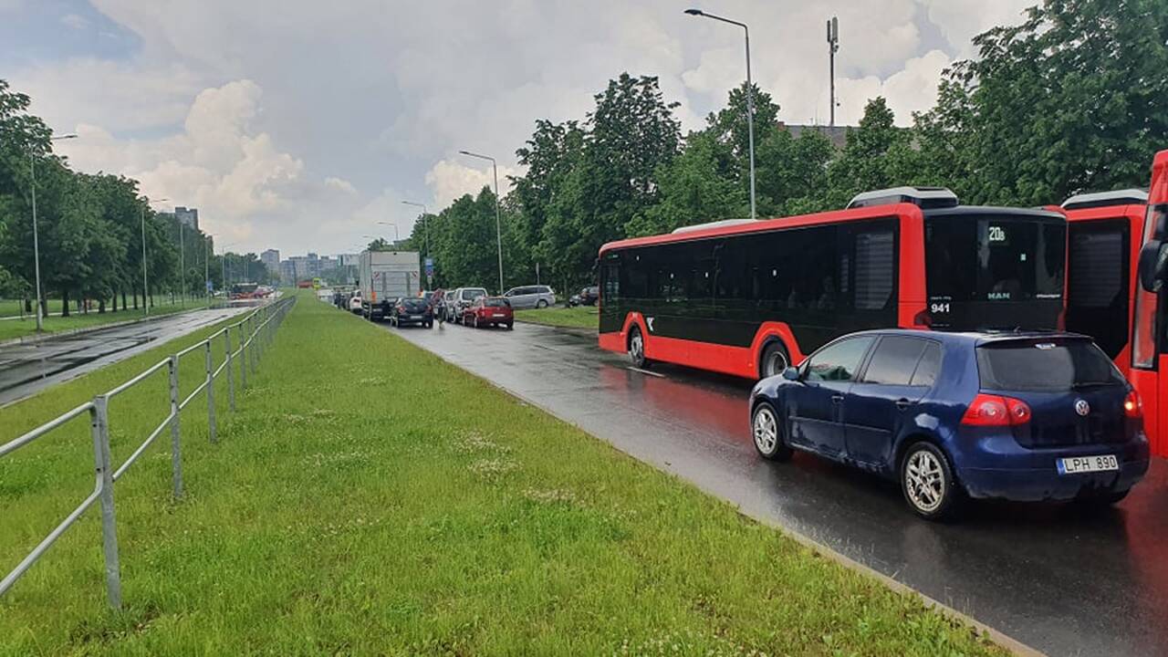 Liūtis ir kruša Kaune