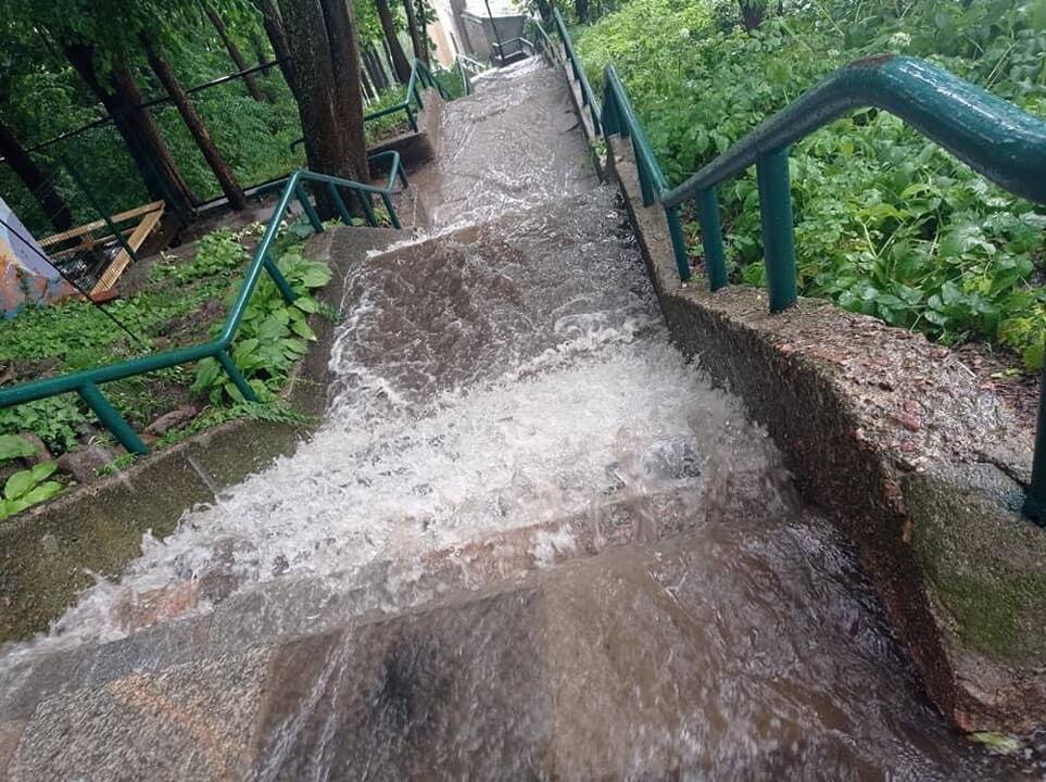 Liūtis ir kruša Kaune